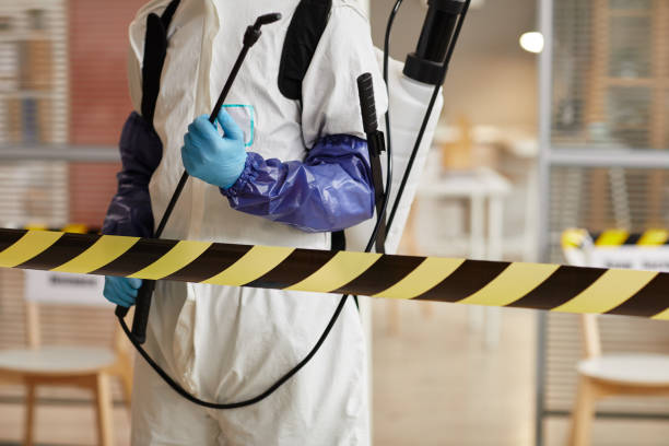 Professional Sewage Cleanup technician working in Litchfield, NE